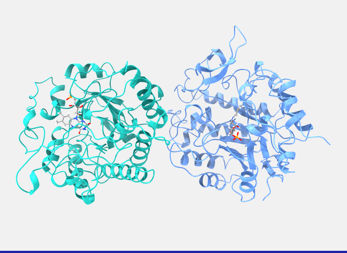 Ene reductase enzyme - Johnson Matthey