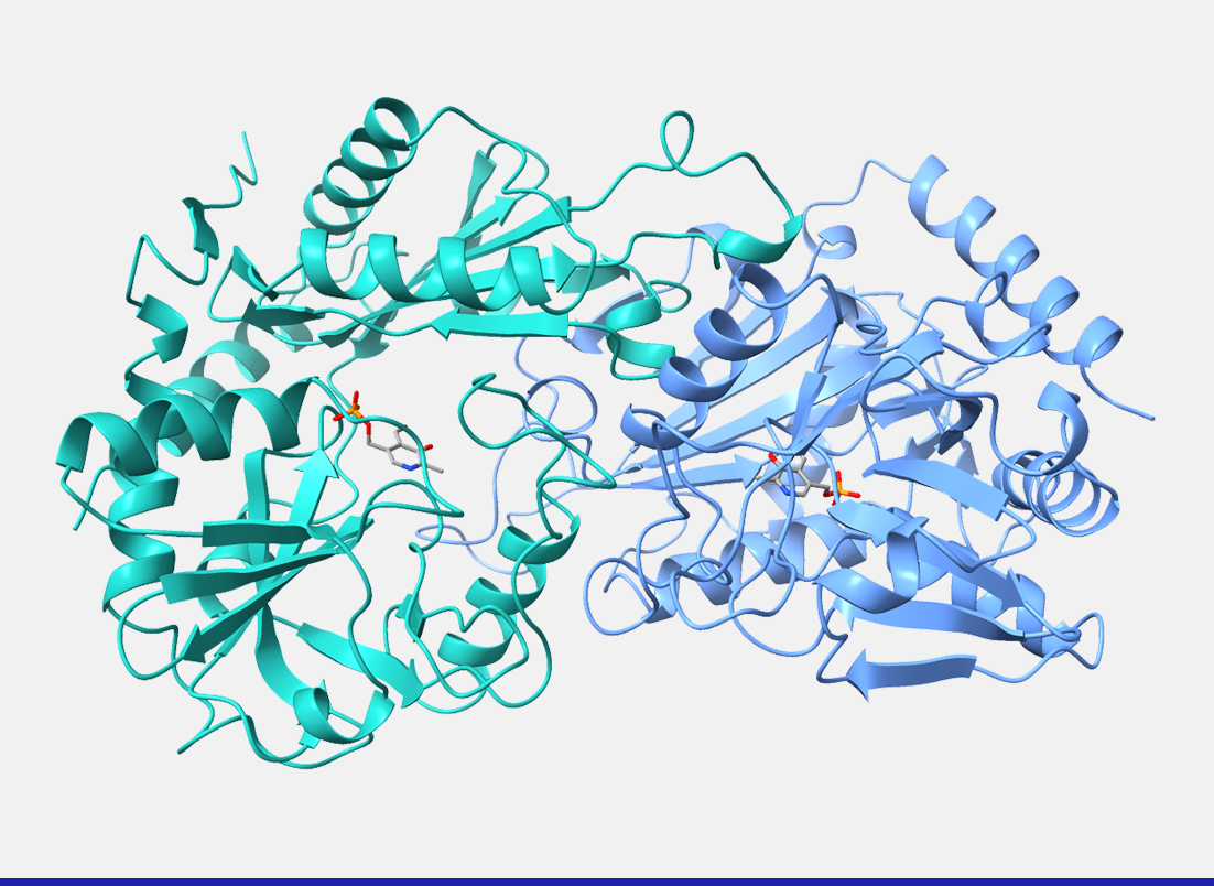 Transaminase enzyme - Johnson Matthey