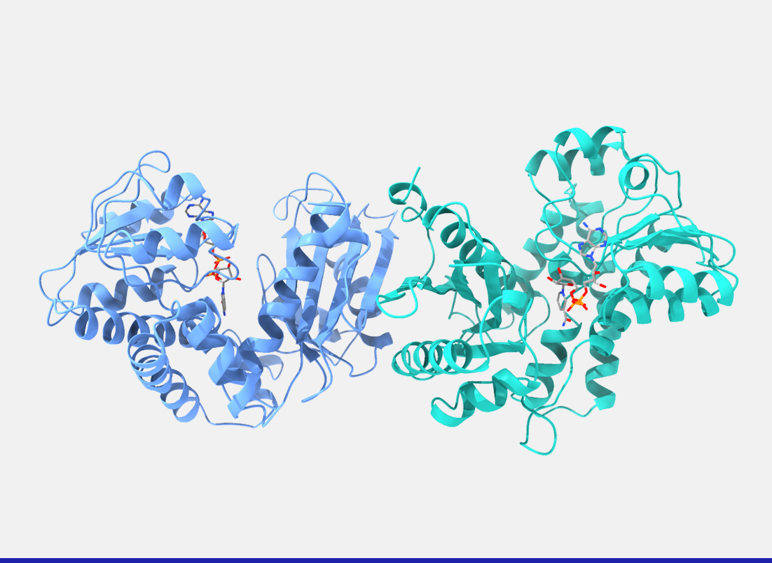 Amine dehydrogenase enzyme - Johnson Matthey